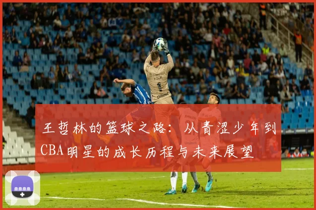 王哲林的篮球之路：从青涩少年到CBA明星的成长历程与未来展望