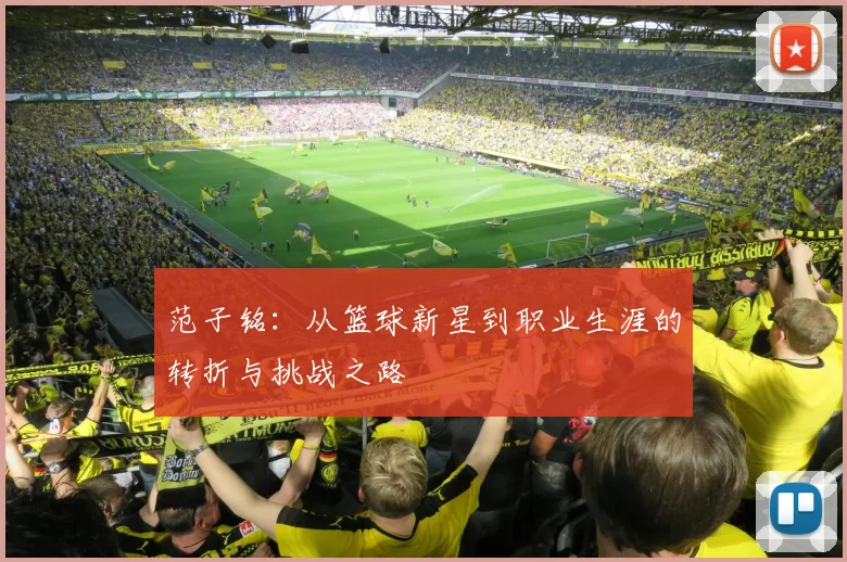 范子铭：从篮球新星到职业生涯的转折与挑战之路