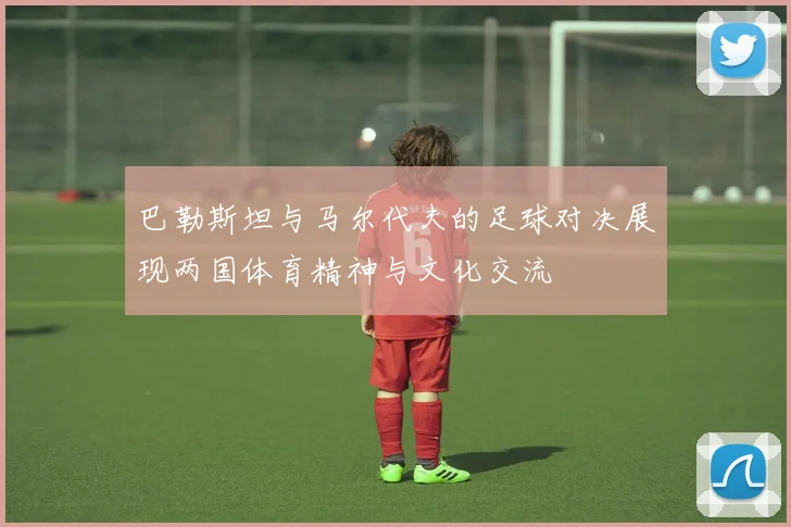 巴勒斯坦与马尔代夫的足球对决展现两国体育精神与文化交流