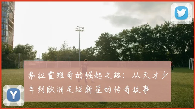 弗拉霍维奇的崛起之路：从天才少年到欧洲足坛新星的传奇故事